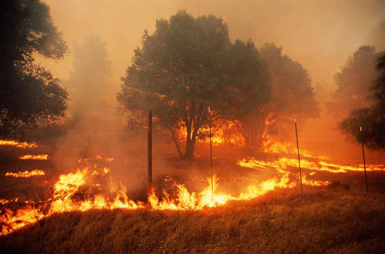 Fogo na Calif&oacute;rnia; na &uacute;ltima d&eacute;cada, inc&ecirc;ndios florestais tornaram-se cada vez mais comuns devido &agrave;s mudan&ccedil;as clim&aacute;ticas