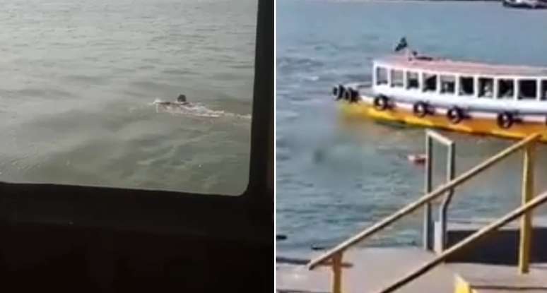 Homem morre após pular de barca em Santos, SP