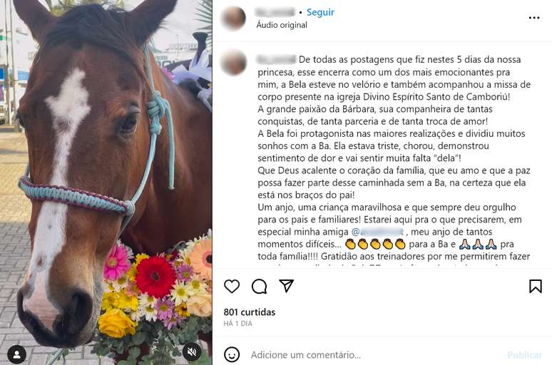 Viveu intensamente tudo que queria', diz família de menina que morreu após  cair de cavalo em SC, Santa Catarina