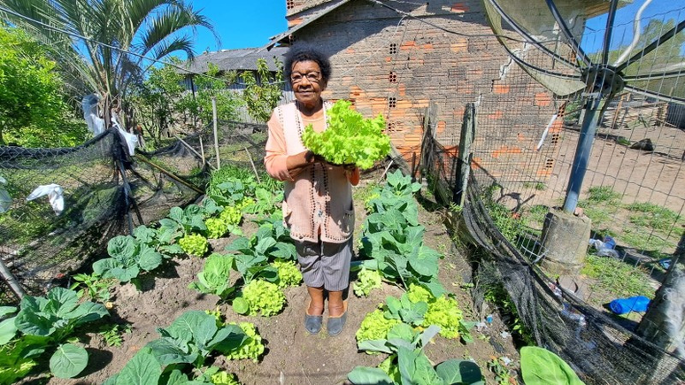 Foto mostra mulher idosa em pé, em uma plantação, segurando um pé de alface, fruto de sua colheita orgânica.