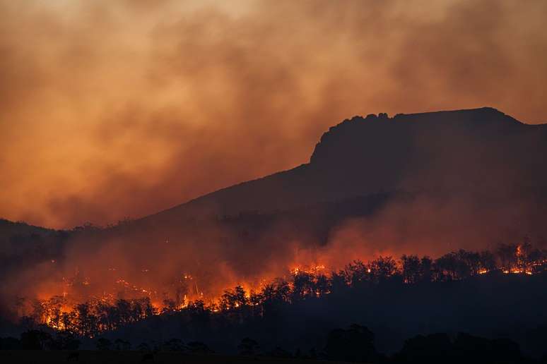Emissões de carbono aumentaram na Amazônia por causa de queimadas e desmatamento, enquanto o pagamento de multas ambientais diminuia (Imagem: Matt Palmer/Unsplash)