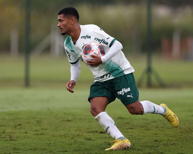 Palmeiras vence Santos e se torna campeã Paulista feminino