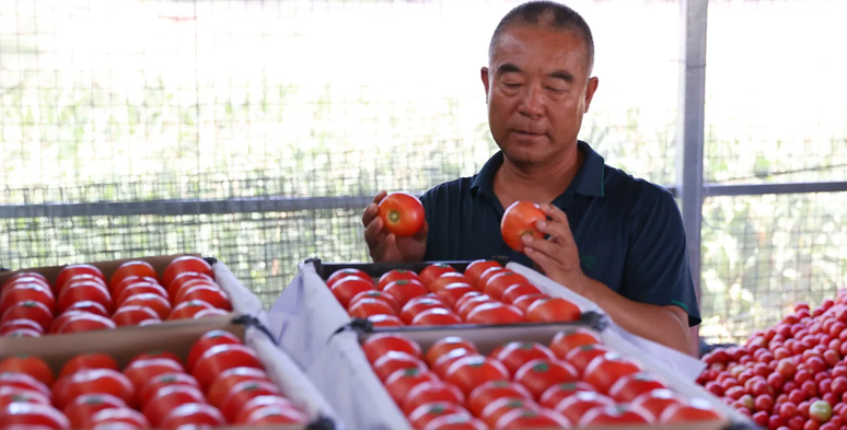 Mesmo que decidamos rejeitar a op&ccedil;&atilde;o da moeda, ser for&ccedil;ados a ver ambos os lados do argumento pode muitas vezes facilitar nosso processo de decis&atilde;o.