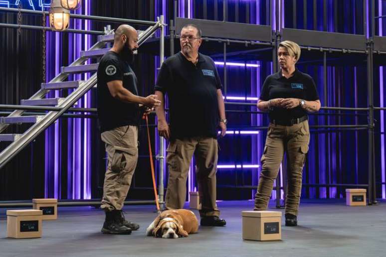 Esse beagle fofinho &eacute; o Dexter, que trabalha farejando corpos.