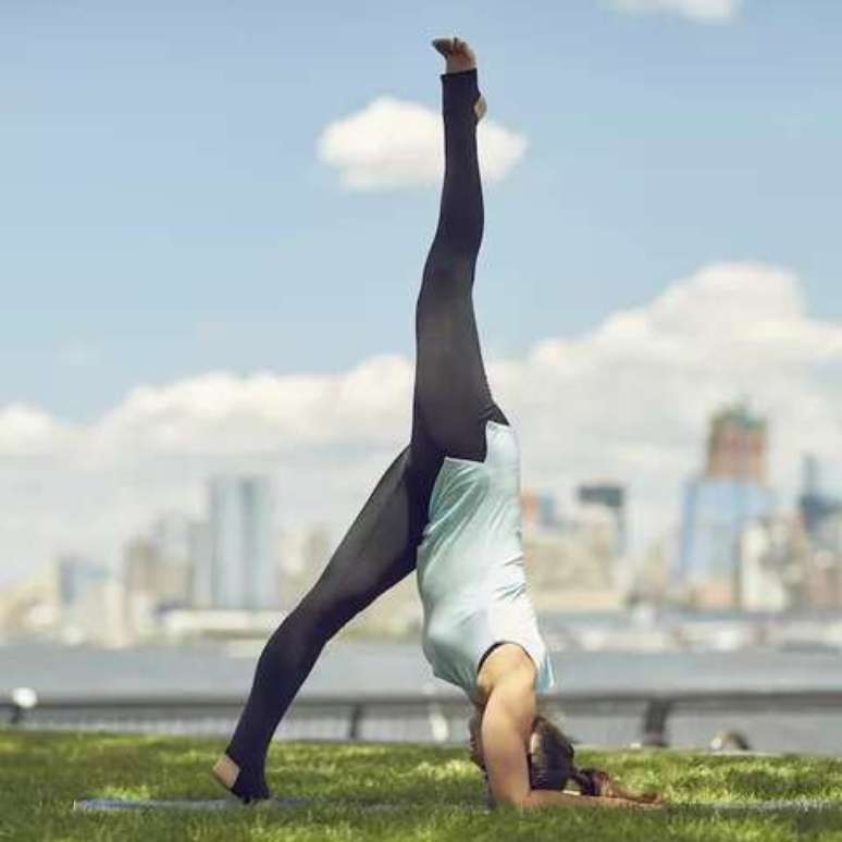 Three-Legged Dolphin