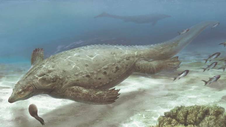 O Prosaurosphargis yingzishanensis crescia até cerca de 1,5 metro de comprimento 
