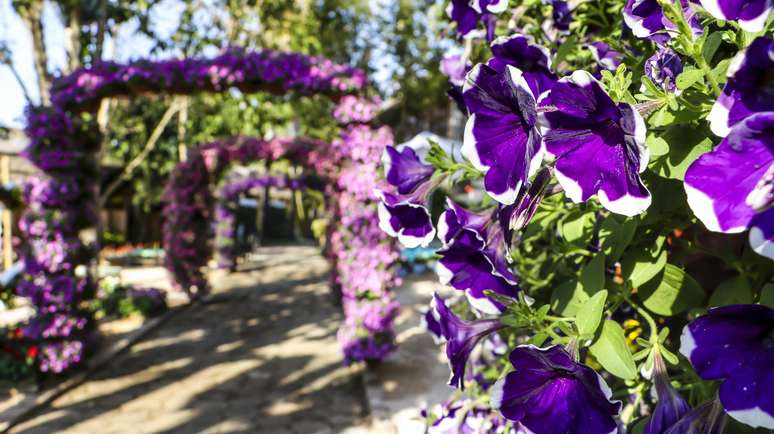 Mesmo fora das áreas de exposição de arranjos e paisagismo, o Parque da Expoflora é decorado com jardins e estandes de flores.