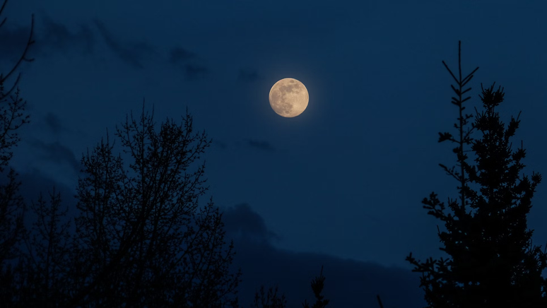 As imagens inéditas da noite da Super Lua Azul, o fenómeno que só volta em  2037 – Observador