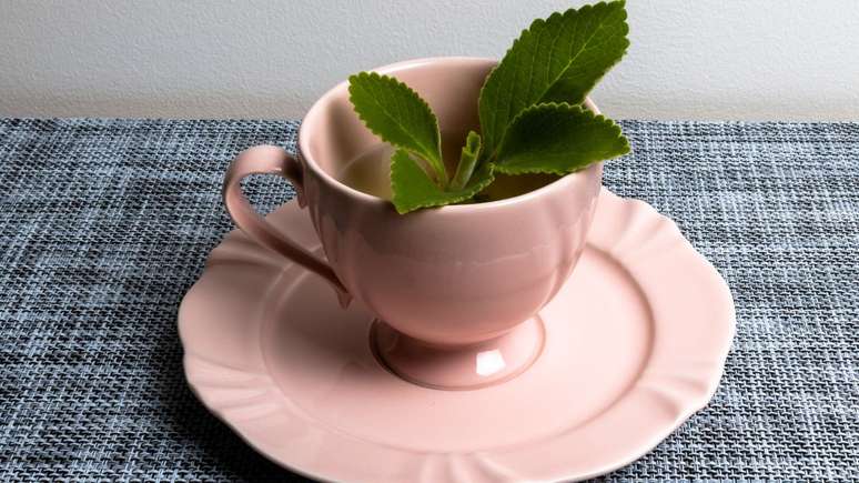Saiba tudo sobre o chá de boldo - Shutterstock
