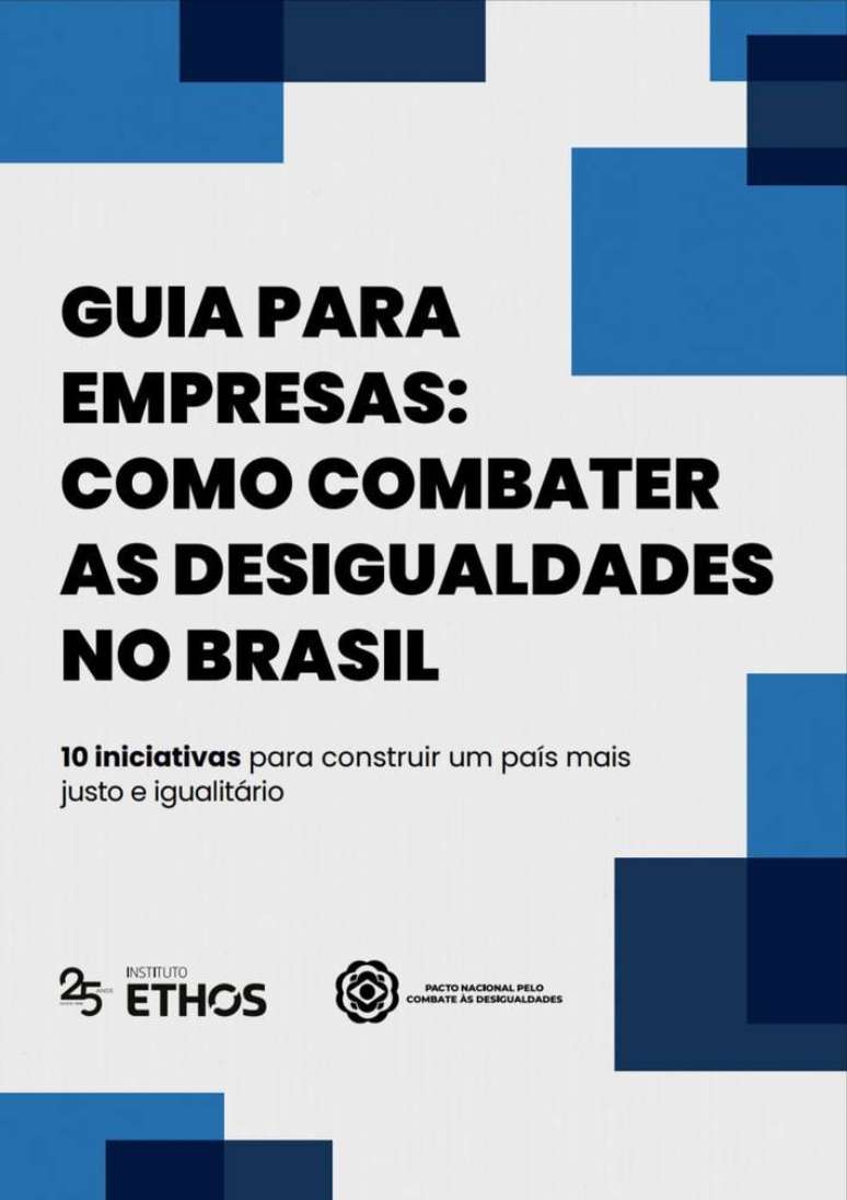 Guia para Empresas: Como Combater as Desigualdades no Brasil