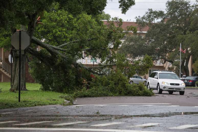 Um residente passa por uma árvore caída devido aos ventos fortes do furacão Idalia em Clearwater, Flórida