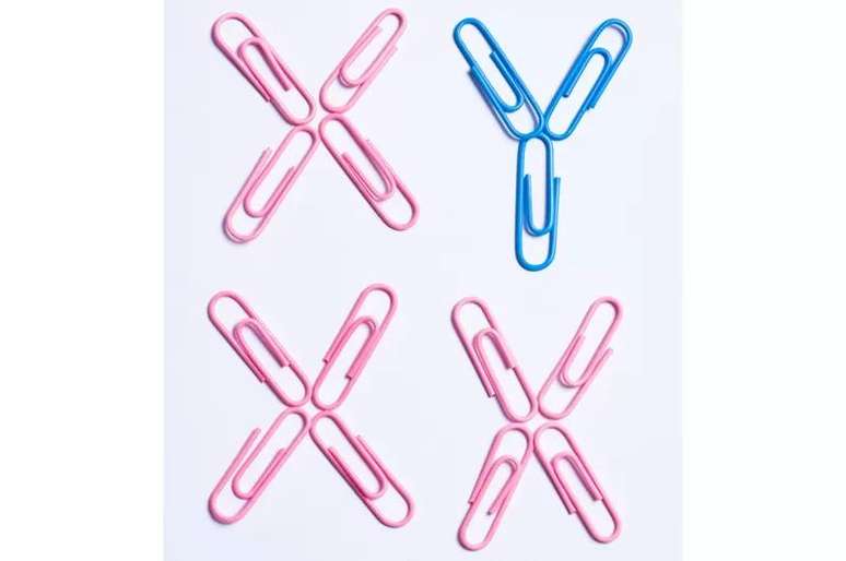 A geneticista evolutiva Jenny Graves sugere que eventualmente o cromossomo Y desaparecer&aacute;.