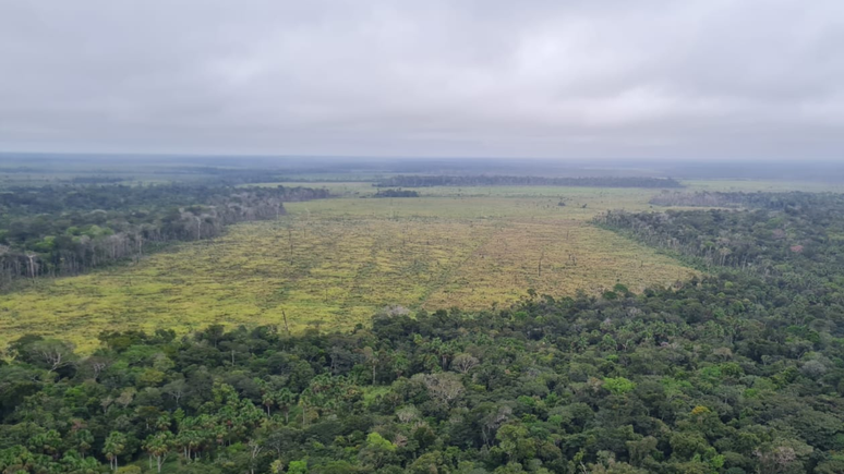 PF realiza operações contra crime ambientais no Amazonas e no Acre.