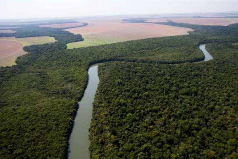 Fundo Amazônia é dedicado a projetos na floresta e visa combater o desmatamento na região