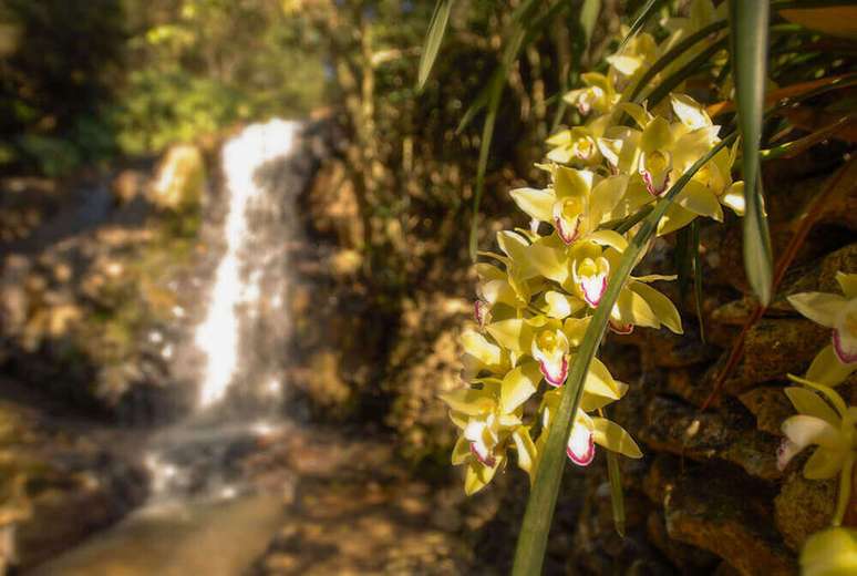 Cachoeira com acesso do hotel Lake Vilas