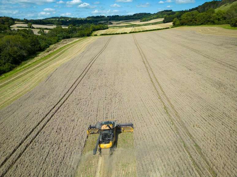 A eros&atilde;o do solo &eacute; uma das consequ&ecirc;ncias da agricultura n&atilde;o regulamentada