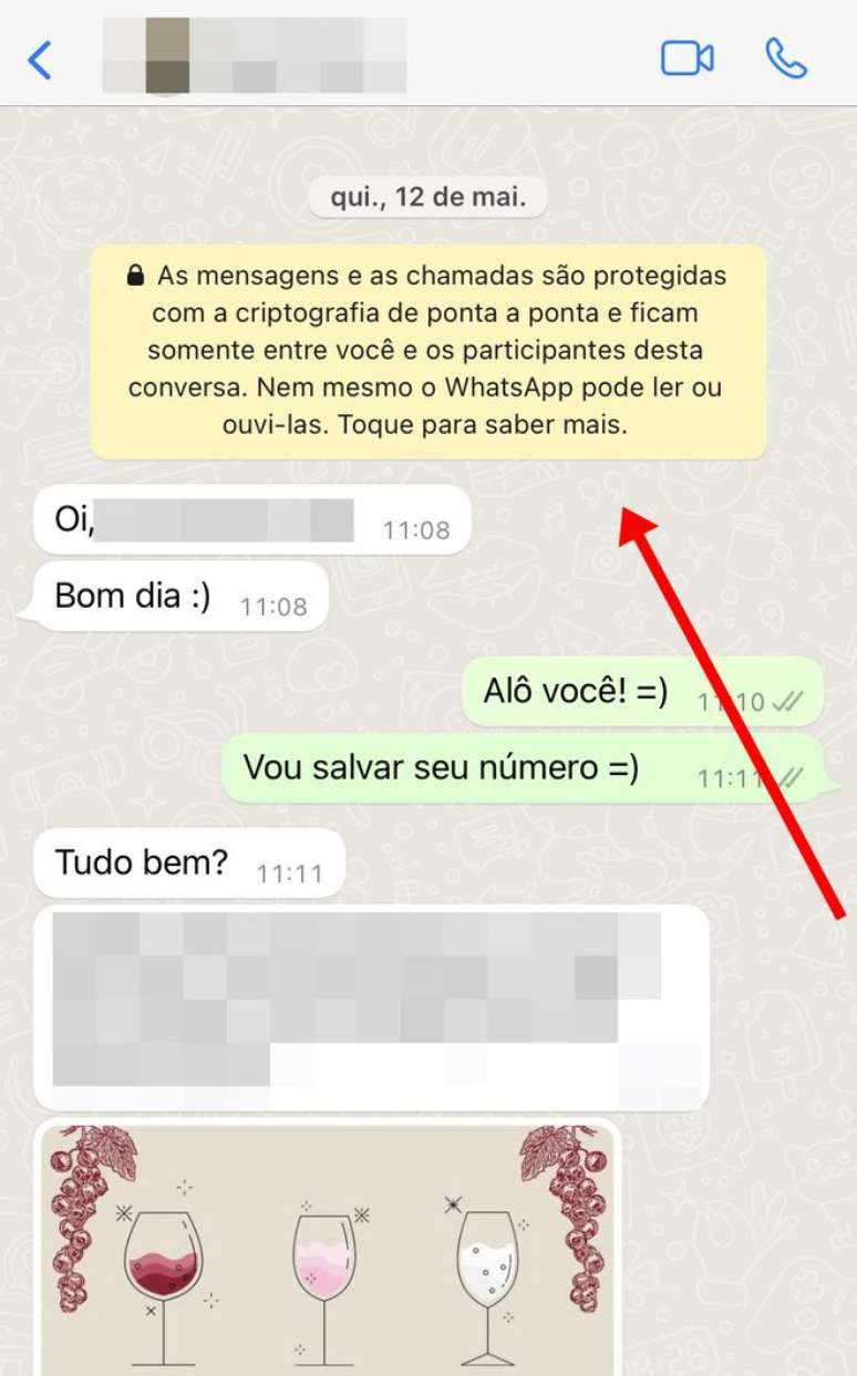 A criptografia de ponta a ponta é um dos recursos de destaque do WhatsApp, mas essa segurança é quebrada no uso de apps alternativos (Imagem: Captura de tela/Felipe Demartini/Canaltech)