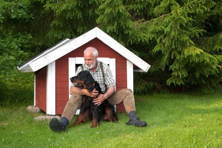 A casinha pode ajudar a proteger o cachorro do clima frio 