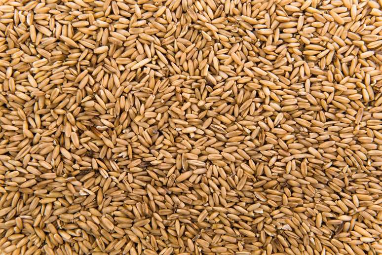 The first pee pregnancy test appeared in Egypt and was made with barley and wheat grains (Image credit: Luis_molinero/Freepik) The first pee pregnancy test appeared in Egypt and was made with barley and wheat grains (Image credit: Luis_molinero/Freepik)