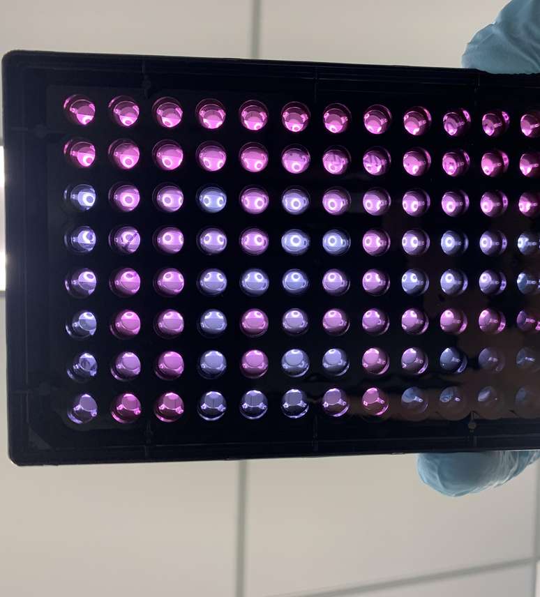 Cellular compounds that have been tested by scientists