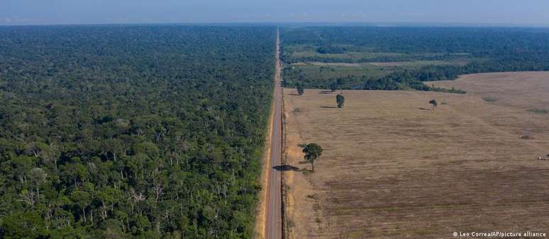 Dados do Sistema de Detecção de Desmatamento em Tempo Real (Deter) sugerem redução da área com alertas em 71% em agosto