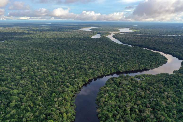 Floresta Amazônica é fundamental para as chuvas no continente