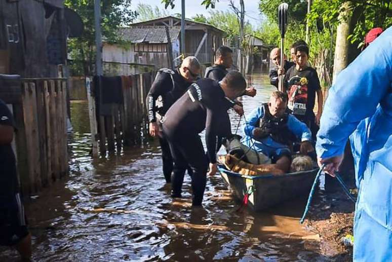 Defesa Civil retirou 30 animais domésticos de casas atingidas pelas águas nas ilhas de Porto Alegre