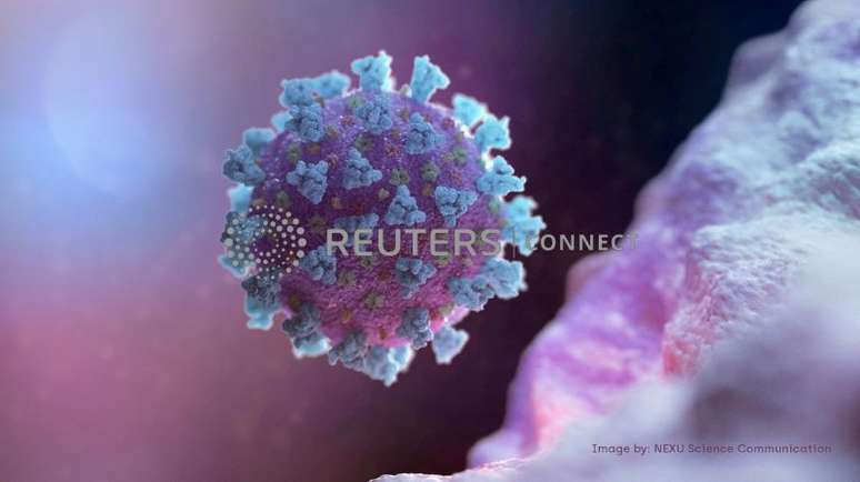 Imagem de computador compartilhada com a Reuters criada pela Nexu Science Communication em conjunto com o Trinity College mostra modelo estruturalmente representativo de tipo de vírus ligado ao COVID-19
18/02/2020
NEXU Science Communication/via REUTERS