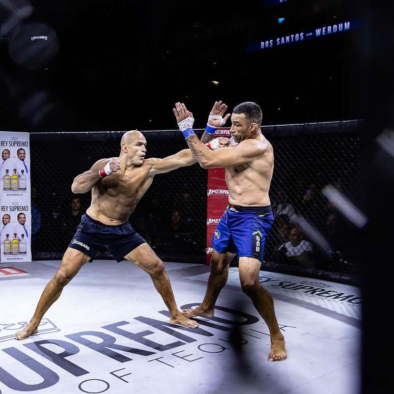 Luta entre Cigano e Werdum 
