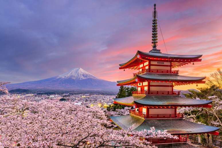 Na primavera, o Japão é dominado pelas sakuras, também conhecidas como cerejeiras em flor