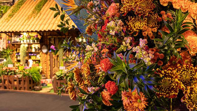 30. Expoflora 2023: mostra apresenta ao público mais de 4.000 variedades de 300 espécies de flores e plantas ornamentais – Foto: Juliana Lazarini/Divulgação Expoflora