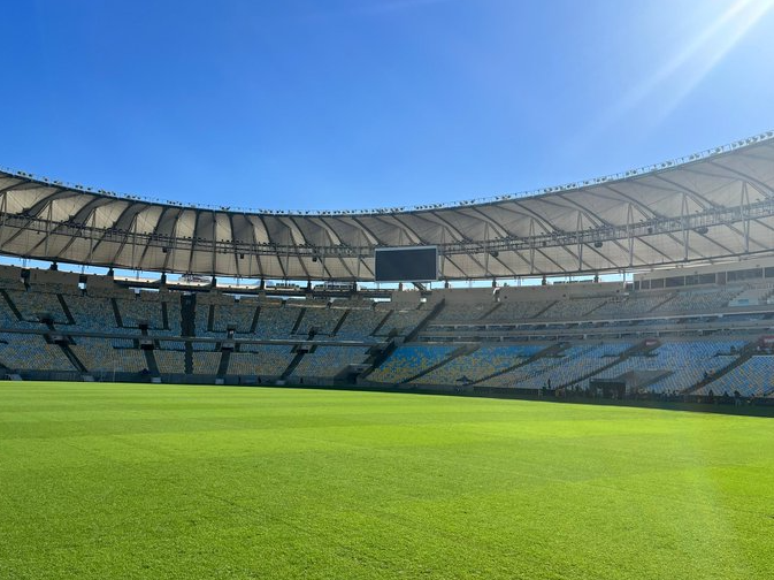 Linhas do gramado: Entenda cada uma