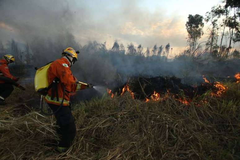 Queimada em Brasília; no último ano, o Cerrado bateu recorde de desmatamento