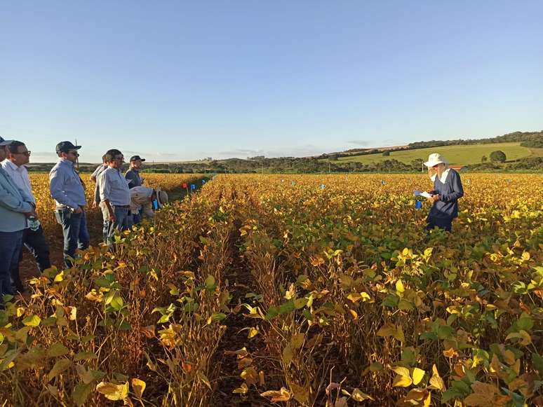Wellington (26) em trabalho de campo.