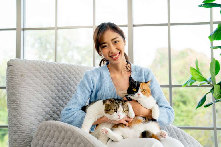 Filmes com gatos: 7 opções para assistir com a família