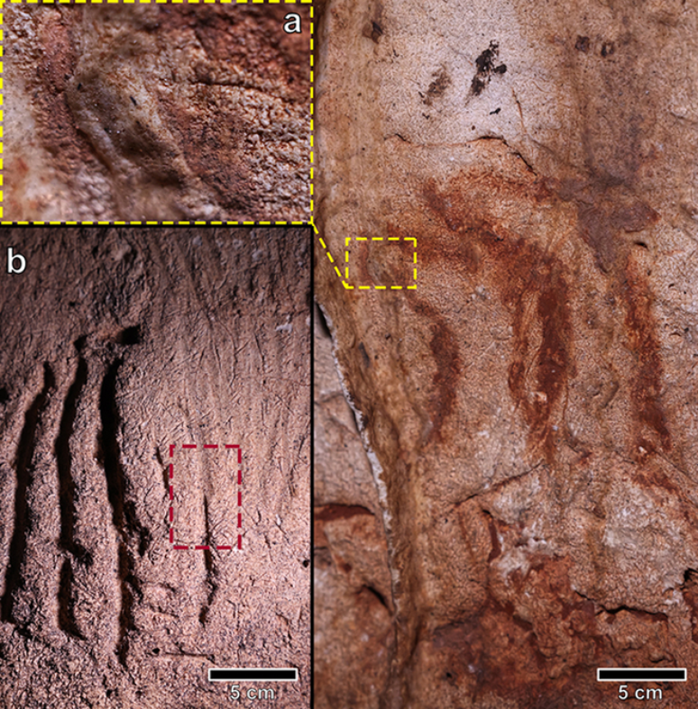 Detalle de calcita que cubre la cabeza de un ciervo dibujado en la cueva;  Marcas de garras de oso de las cavernas (Imagen: Ruiz-Redondo et al./Antiquity)