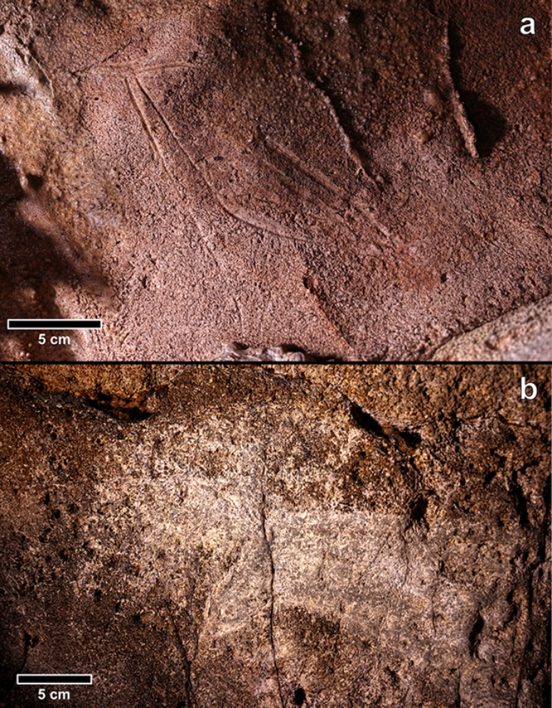 En la parte superior, la representación trilineal de una cierva (hembra de ciervo) procedente del Mediterráneo;  abajo, dos cabezas de caballo creadas mediante raspado (Imagen: Ruiz-Redondo et al./Antiquity)