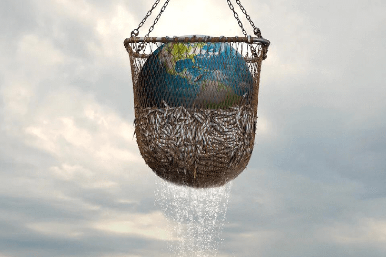 Document&aacute;rio &lsquo;Seaspiracy: Mar vermelho&rsquo; 