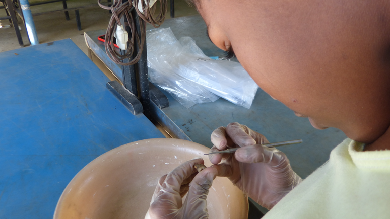 Pesquisa pode revelar mais detalhes sobre a hist&oacute;ria do antigo hospital e do cemit&eacute;rio