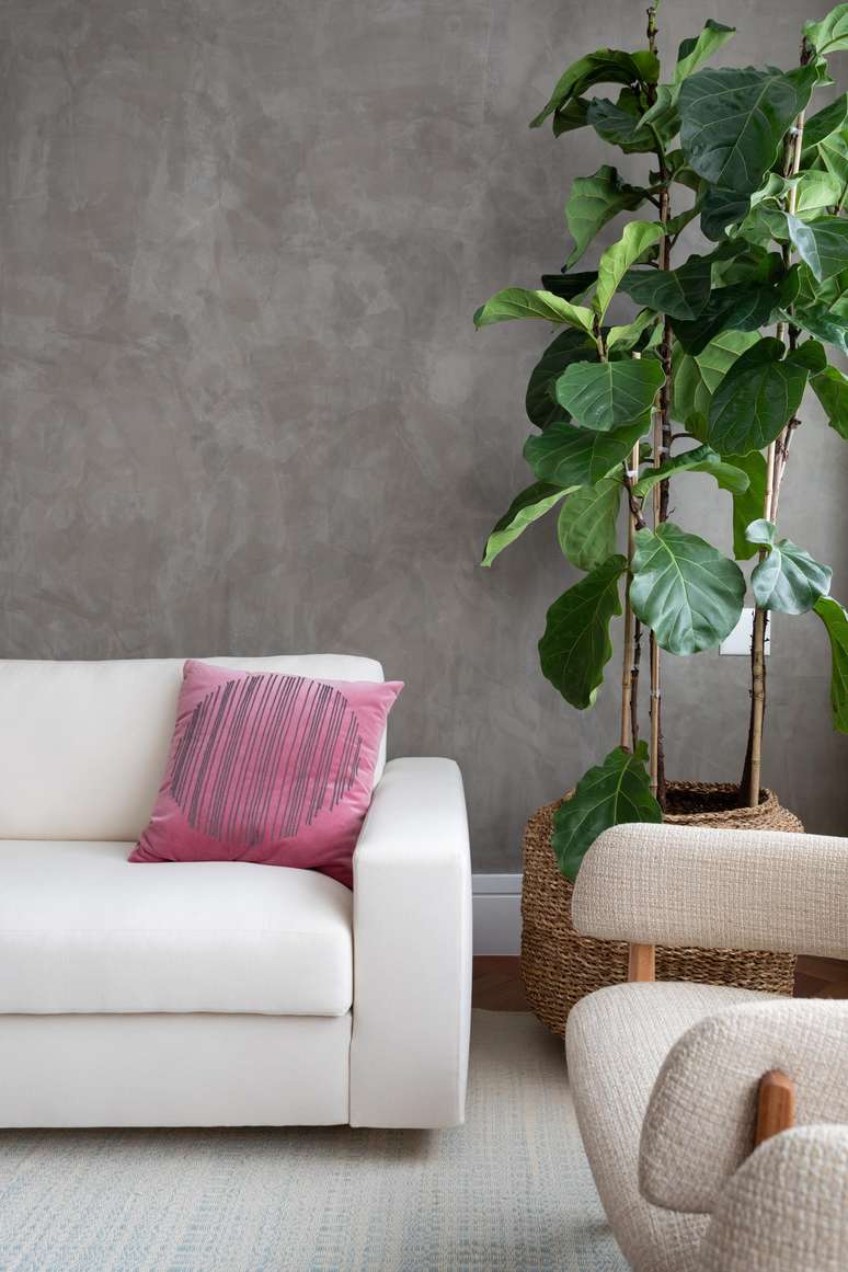 What you can and can’t do with your plants in spring