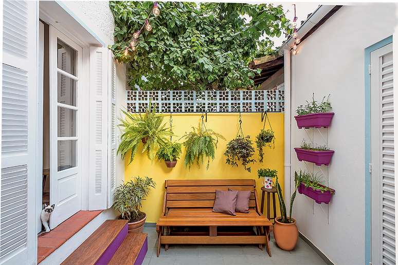 5 dicas para cuidar de plantas dentro de casa - Casa e Jardim