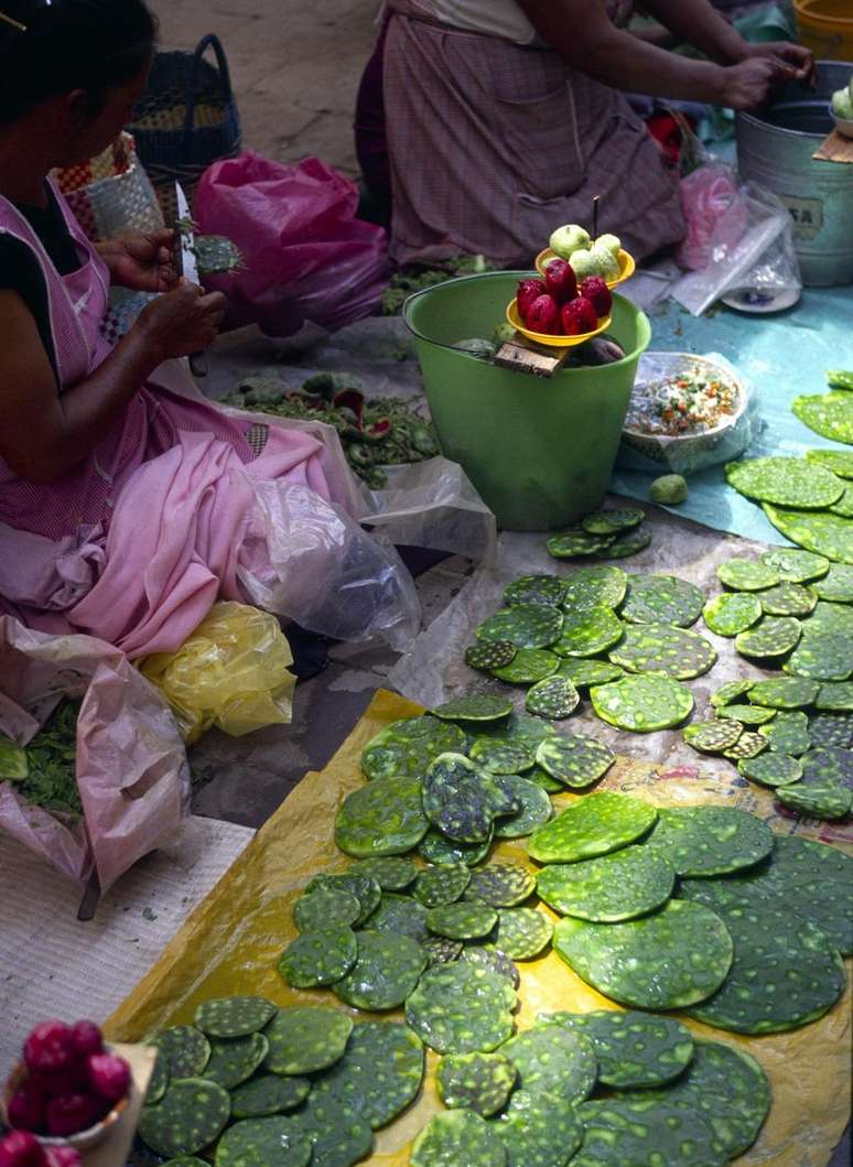 Vendedores de nopales no mercado de San Miguel de Allende, no México