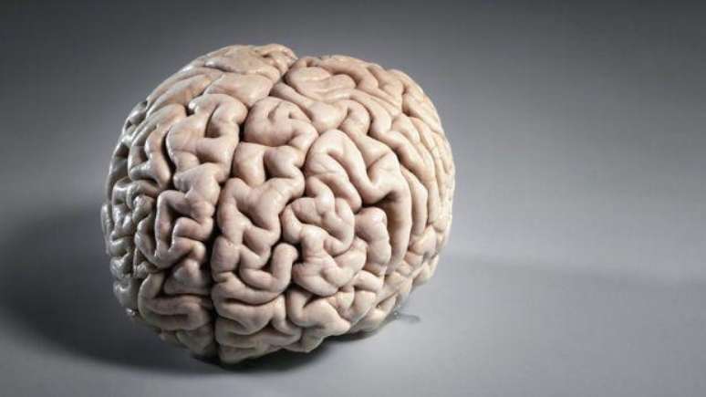 In the experiment Neuralink intends to implant 64 flexible wires in one part of the brain