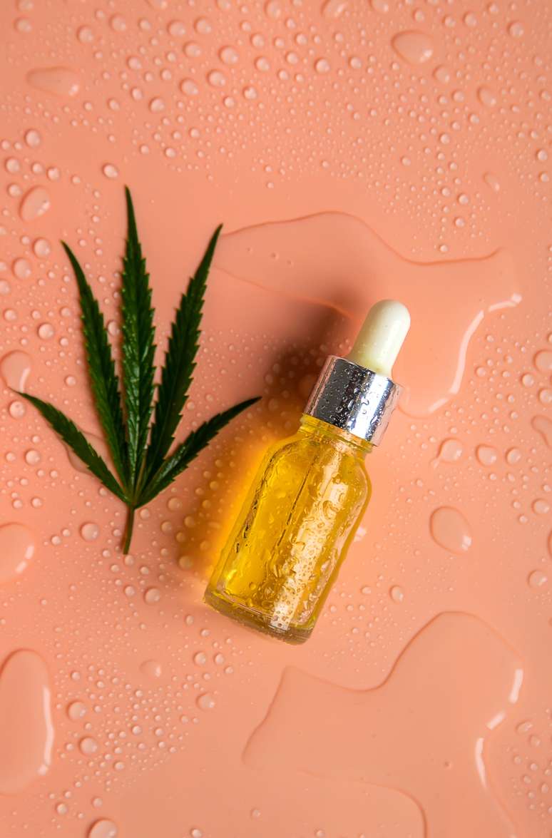 Produtor rural conseguiu autoriza&ccedil;&atilde;o para importar at&eacute; 24 sementes por anos 