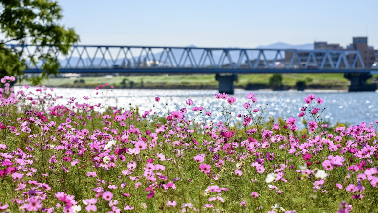 Spring begins this Saturday, September 23, 2023