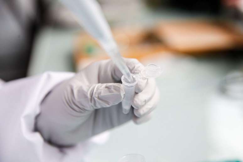 Cena de laborat&oacute;rio