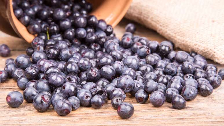 Jabuticaba: discover the benefits of this spring fruit