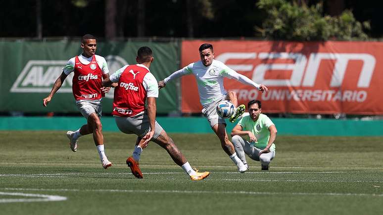 Palmeiras: que horas joga o Palmeiras, estatísticas e fotos – Terra