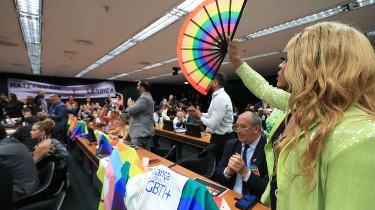 De acordo com a procuradoria, além de inconstitucional, a proposta afronta princípios internacionais e representa retrocesso no que diz respeito aos direitos das pessoas LGBTQIA+