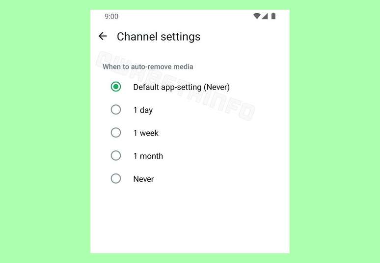 Quem participa de canais no WhatsApp poderá configurar um período de tempo para que mídias compartilhadas sejam apagadas automaticamente para economizar espaço no celular (Imagem: Reprodução/WABetaInfo)